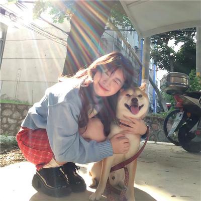 掌门低调点 动态漫第一季